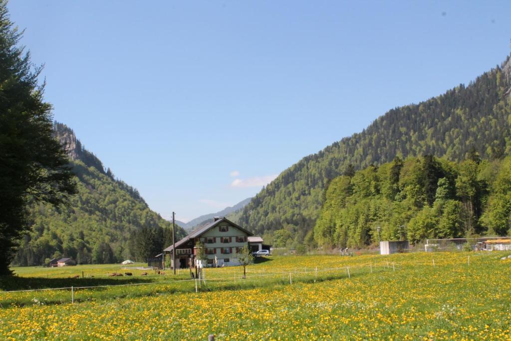 菲林萨特公寓 Au (Vorarlberg) 外观 照片
